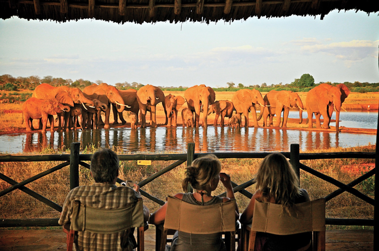 Africa Tours and Holidays
